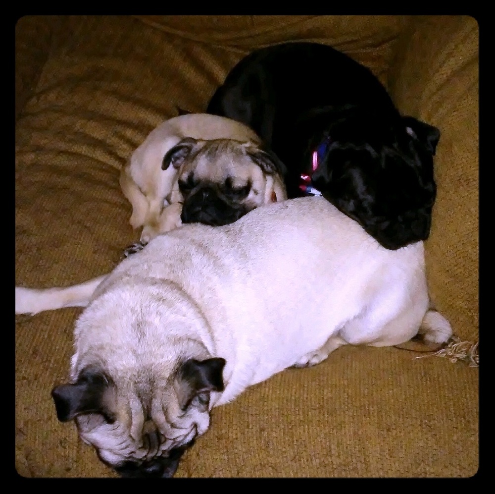 I 💖 to bundle!!